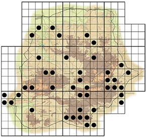 Brakefieldia perspicua Waterberg distribution
